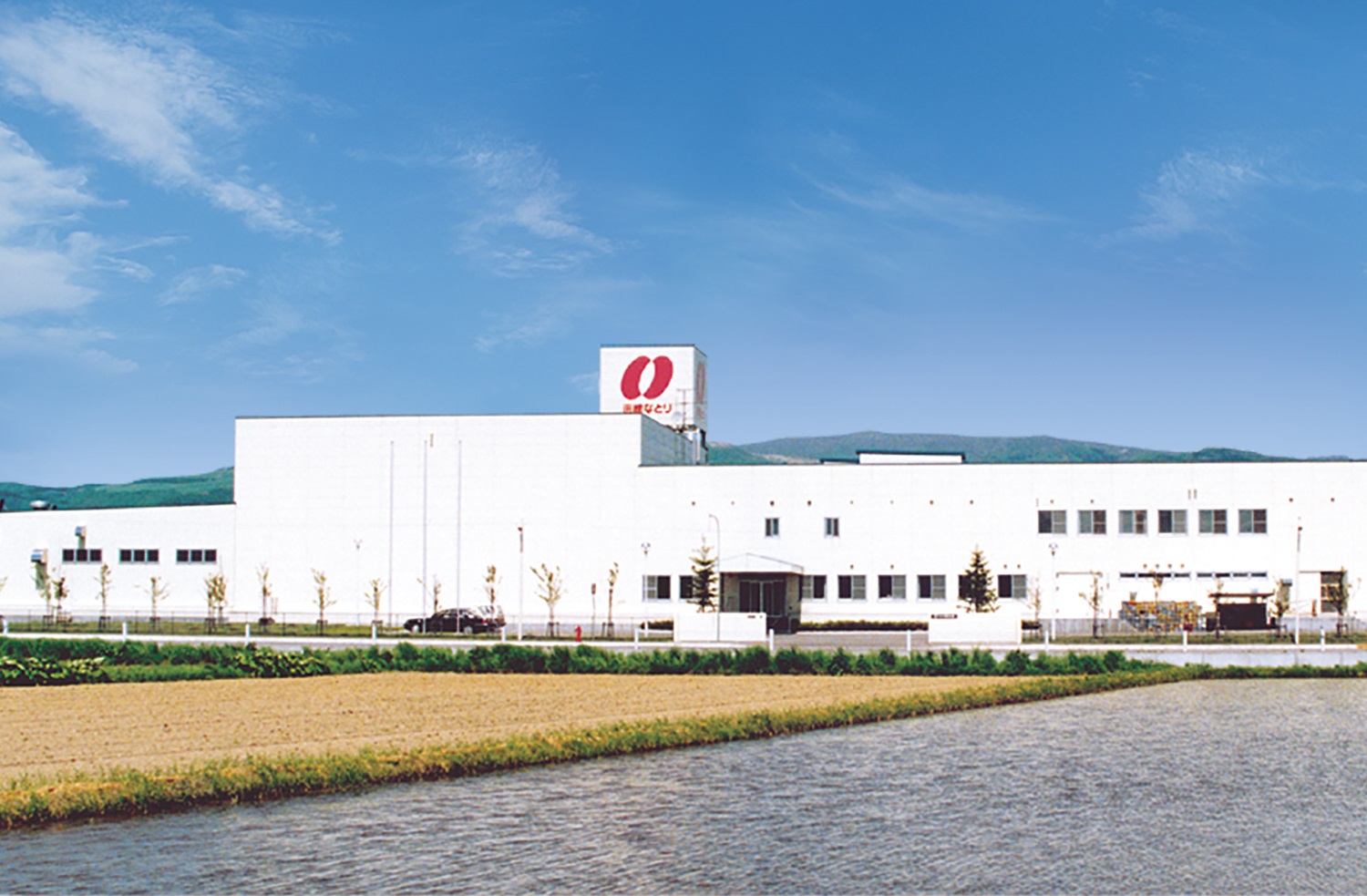 会社情報